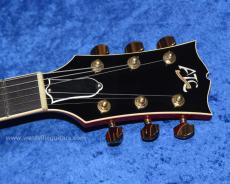 Archtop Tribute ATC350BK-BF _5