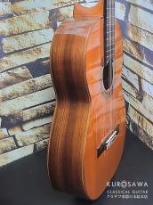 Graciliano Perez グラシリアーノ・ペレス 1999年製 フラメンコギター黒 松・ローズ 664mm【日本総本店2F 在庫品】_9