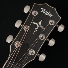 Taylor 【アウトレット特価!】 814ce Special Edition Sapphire 【限定モデル】【現物動画あり】_3