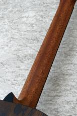Martin D-X2E Ziricote Burst #3051936【エレアコ】_6