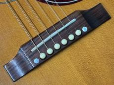 Gibson Hummingbird HCS_10
