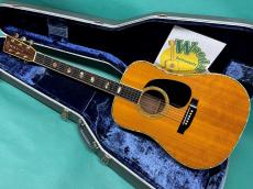 Martin D-41