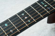 Stafford SF-5C -Brown Sunburst-【数量限定アクセサリーセット付!】【初心者にオススメ!】_6