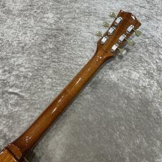 Tokai LS-101-WA-Gold Top- #2652997【3.95kg】_11