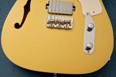 Kz Guitar Works Kz TL Trad Semi-Hollow 22 2H8 Custom w/Brazilian Rosewood -Gold Top-_3