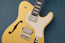 Kz Guitar Works Kz TL Trad Semi-Hollow 22 2H8 Custom w/Brazilian Rosewood -Gold Top-_4