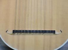 櫻井 浩一 13コース バロック・リュート【Baroque Lute】_5