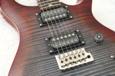 Paul Reed Smith [PRS] SE Custom 24 ～Charcoal Cherry Burst～ #CTIH011204 [3.72kg]【2025年製】【48回無金利】_7