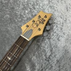 Paul Reed Smith [PRS] SE Silver Sky Limited Colors Gold Spark #H074616【3.43kg】_6