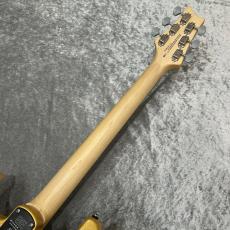 Paul Reed Smith [PRS] SE Silver Sky Limited Colors Gold Spark #H074616【3.43kg】_9