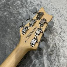 Paul Reed Smith [PRS] SE Silver Sky Limited Colors Gold Spark #H074616【3.43kg】_11