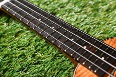 MAKOLELE Piccoro【USED/2020年】_8