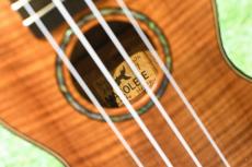 MAKOLELE Piccoro【USED/2020年】_16