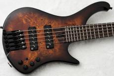 Ibanez EHB1505S -Dragon Eye Burst Low Gloss / DEL- #250908522 [3.29kg]_2
