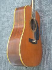 Martin D-45_5