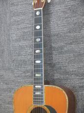 Martin D-45_9
