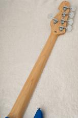 Edwards E-AMAZE-5-AS/M  -Solid Metallic Blue- 【4.19kg】_11