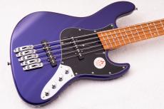 Bacchus WJB-1MS-DX-AC RSM/M ~IPM~  [4.69kg]【アクティブマルチスケール】_2