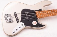 Bacchus WJB-1MS-DX-AC RSM/M ~MDG~  [4.51kg]【アクティブマルチスケール】_2