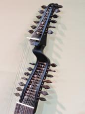 櫻井 浩一 14コース ジャーマン・テオルボ【German　Theorbo】_2