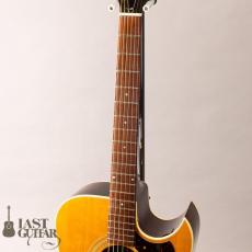 Guild D-40C_5