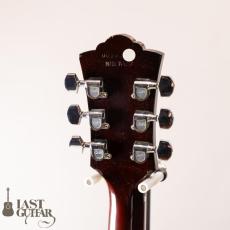 Guild D-40C_7