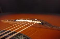 Ovation N769 Custom Legend_6