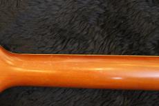 ZEMAITIS S24MT_10