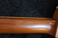 ZEMAITIS S24MT_11