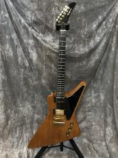 Epiphone Explorer Mod_4