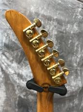 Epiphone Explorer Mod_7