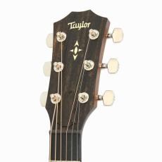 Taylor Builder's Edition 517 V-Class w/L.R.Baggs Element VTC *2019_7