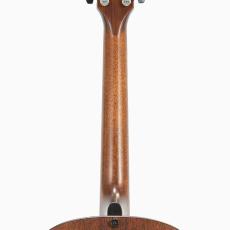 Taylor Builder's Edition 517 V-Class w/L.R.Baggs Element VTC *2019_9