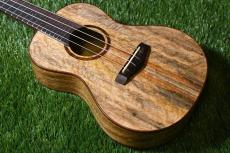 Big Island U-MO-CTS Concert