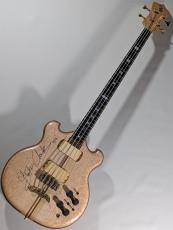 ALEMBIC SCSB4 Retro Special -Birdseye Maple Top&Back / Natural- 【2016/USED】【4.18kg】_2