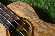 Big Island U-MO-CTS Concert_10