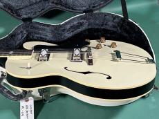 KING SNAKE LESTER BLACK BELLED YELLOW_4