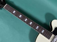 KING SNAKE LESTER BLACK BELLED YELLOW_7