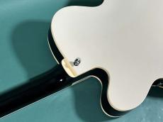 KING SNAKE LESTER BLACK BELLED YELLOW_9