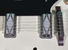 KING SNAKE LESTER BLACK BELLED YELLOW_10