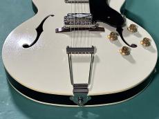 KING SNAKE LESTER BLACK BELLED YELLOW_11