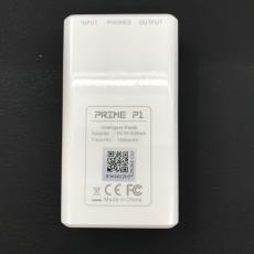 MOOER Prime P1_3
