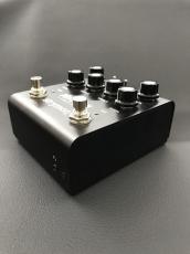 strymon IRIDIUM_5
