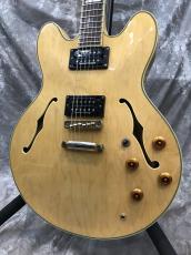Epiphone Sheraton II Mod