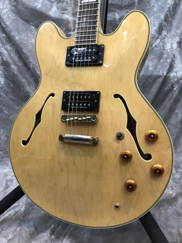 Epiphone Sheraton II Mod