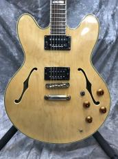 Epiphone Sheraton II Mod_2