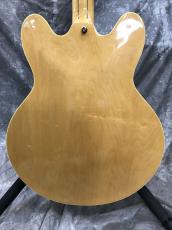 Epiphone Sheraton II Mod_3