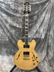 Epiphone Sheraton II Mod_4