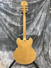 Epiphone Sheraton II Mod_5