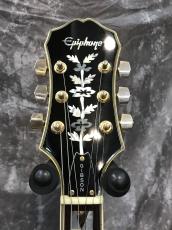 Epiphone Sheraton II Mod_6
